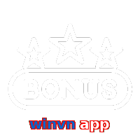 winvn app