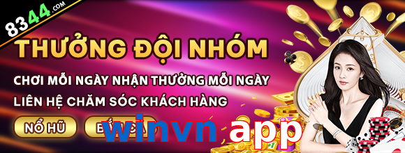 winvn app