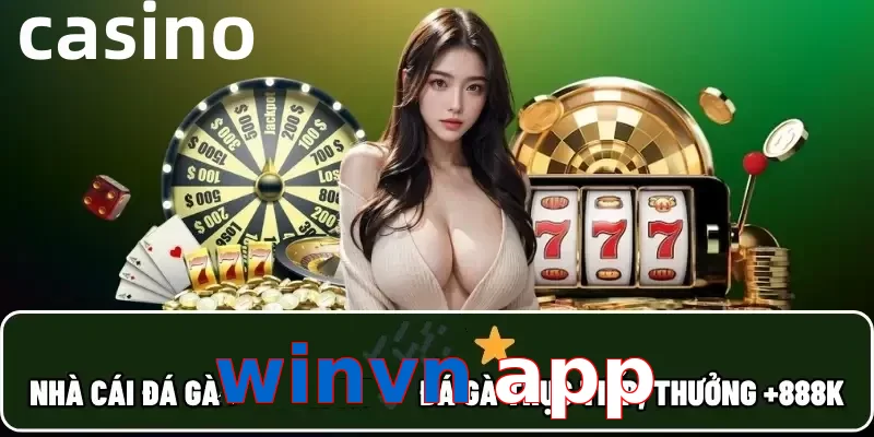 winvn app