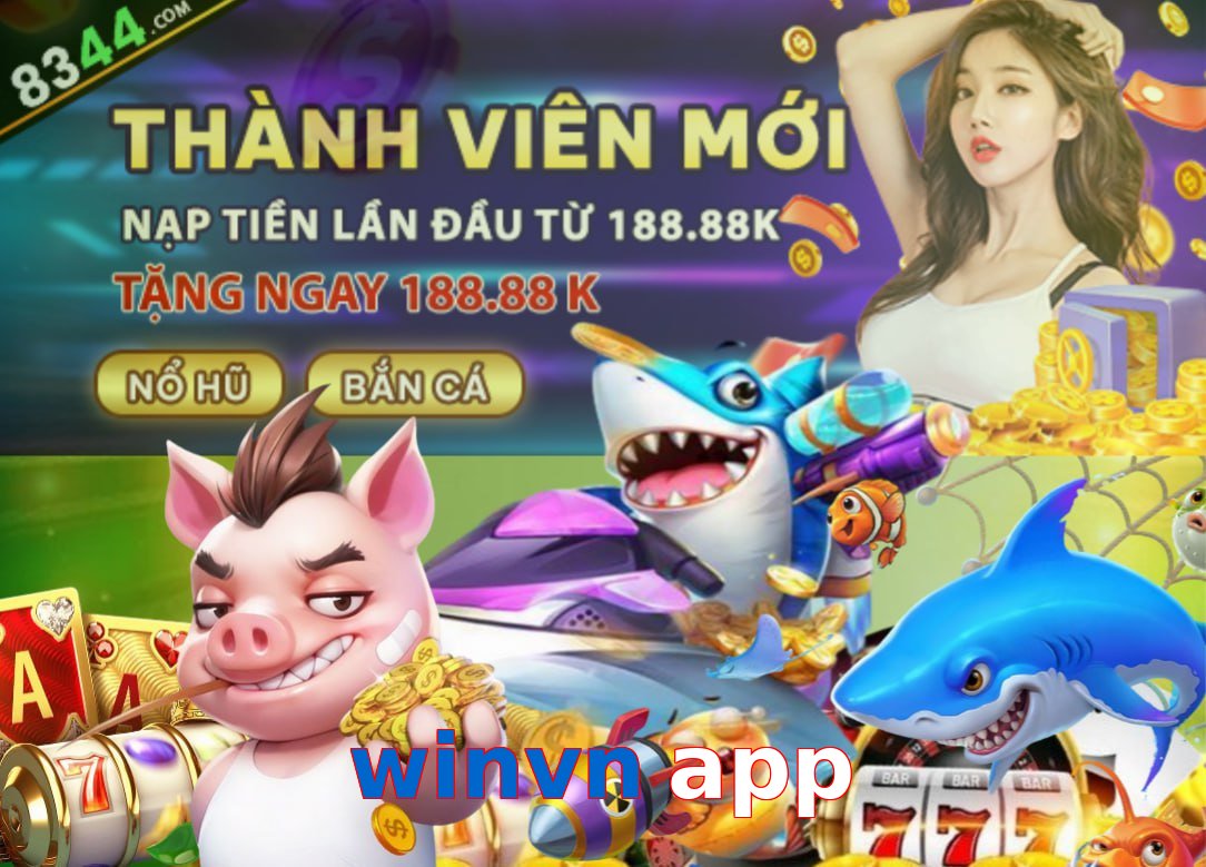winvn app