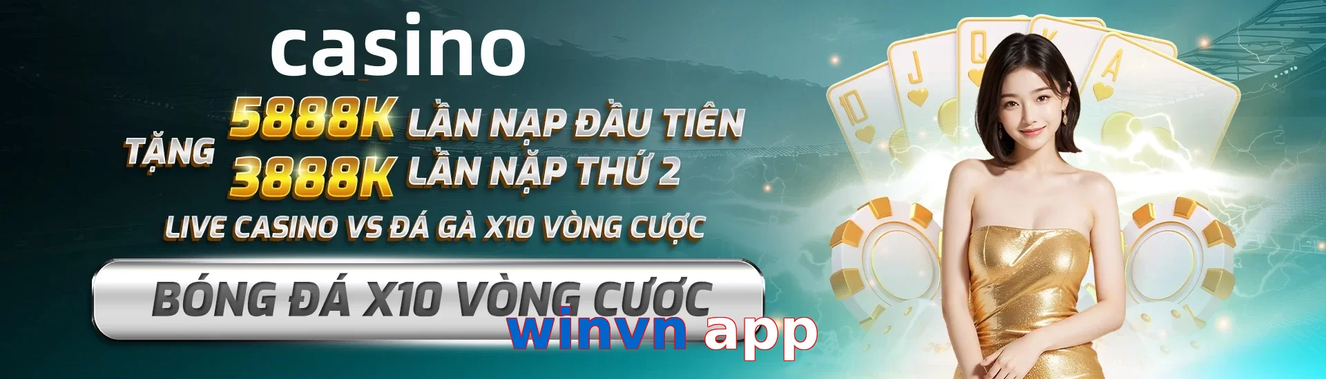 winvn app