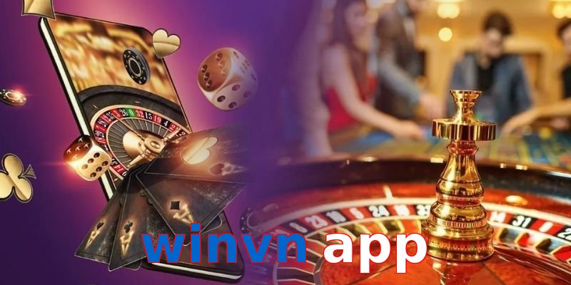winvn app